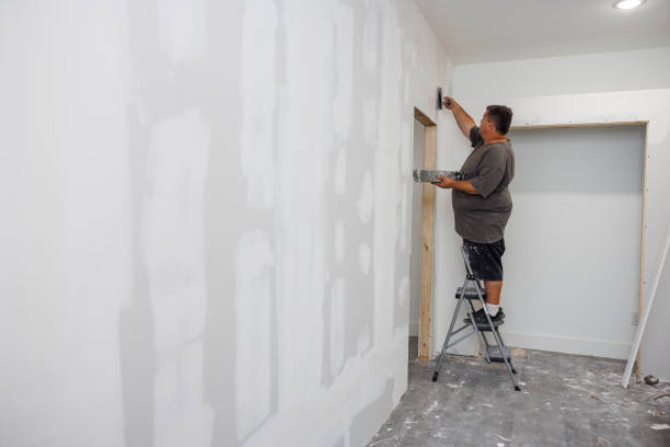 Best Basement Mold Removal  in Chenango Bridge, NY