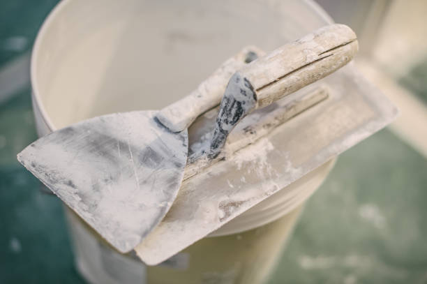 Professional Mold Removal in Chenango Bridge, NY